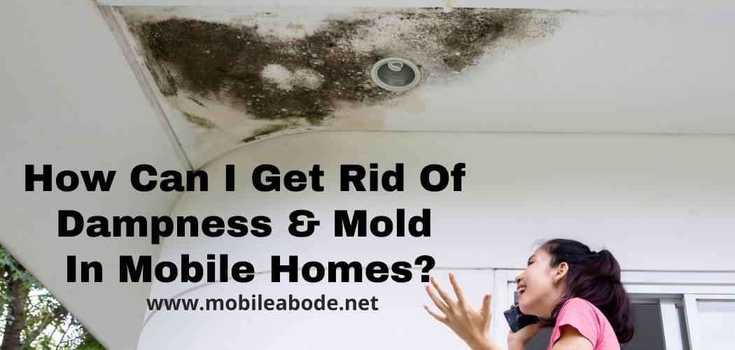 How to Get Rid Of Dampness And Mold In Mobile Home