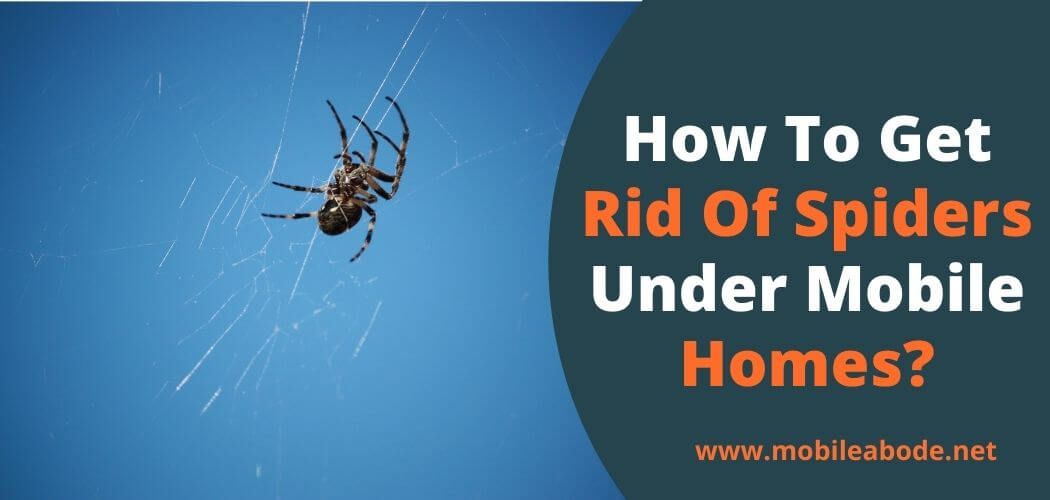 How To Get Rid Of Spiders Under Mobile Home