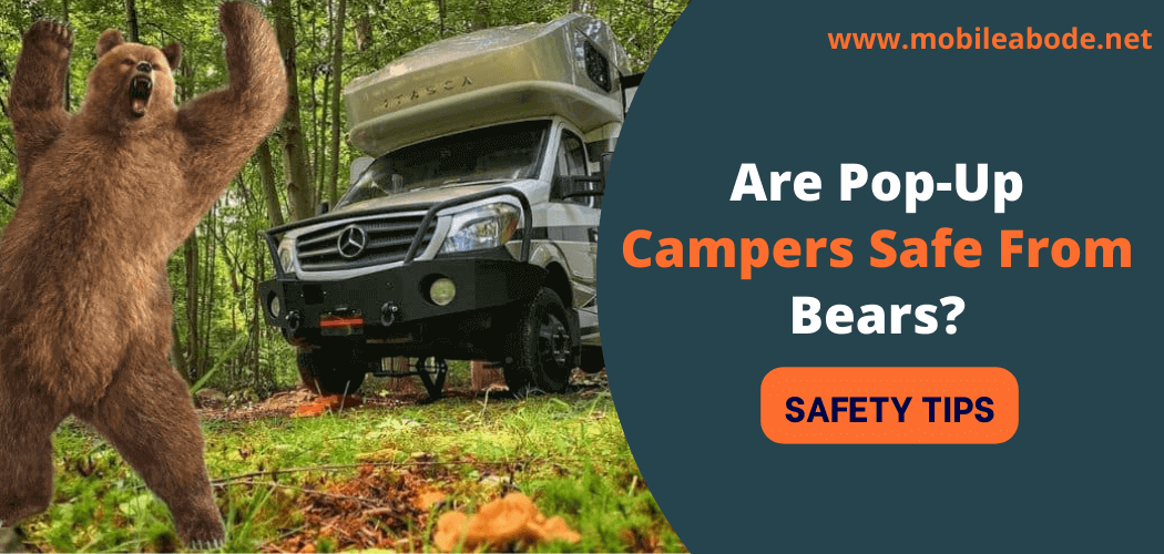 Are Campers Safe From Bears