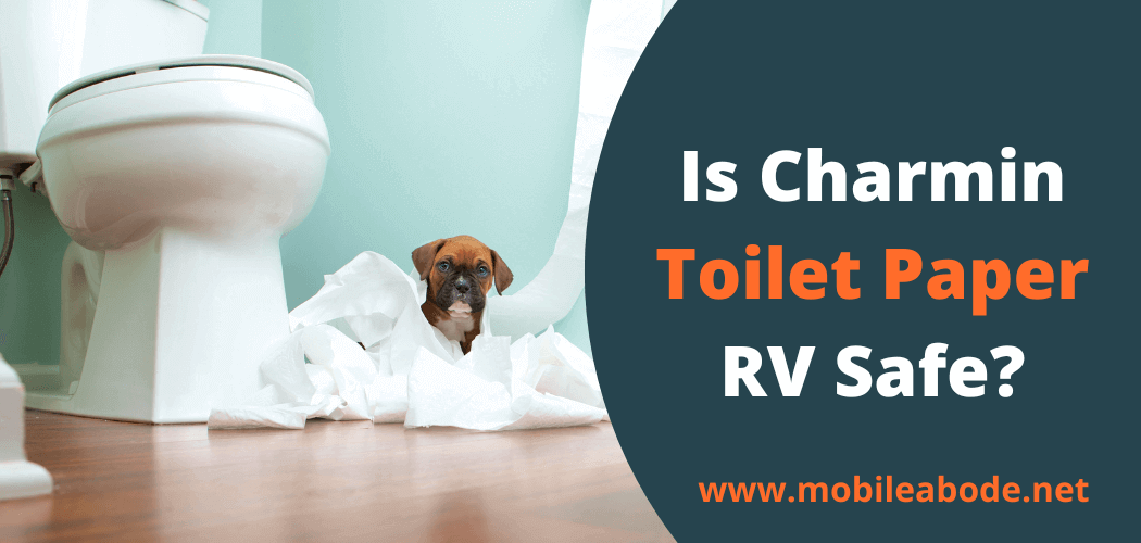 Charmin Toilet Paper Safe for RV